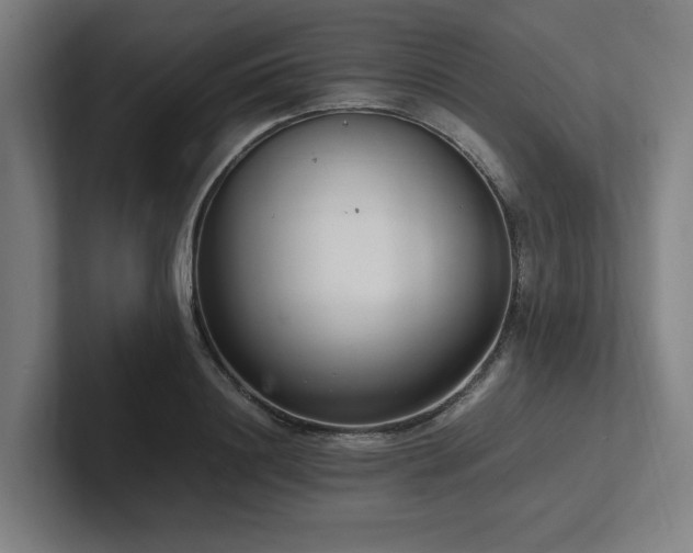 X0000102760844200808181107