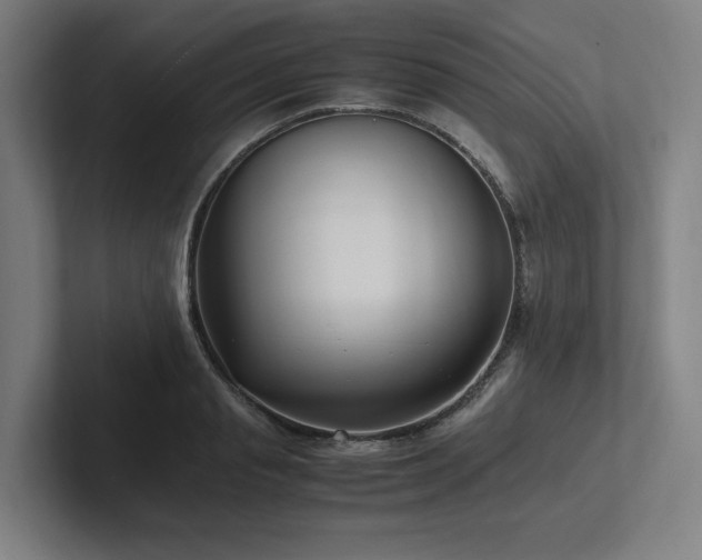 X0000102760845200808181107