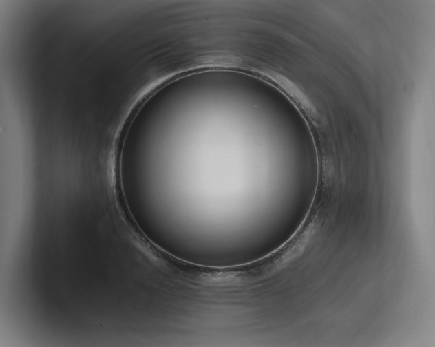 X0000102760846200808181107