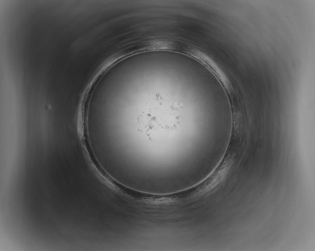 X0000102760851200808181107
