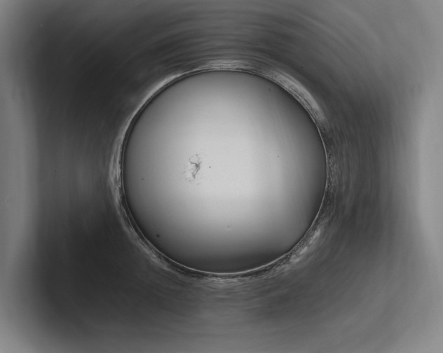 X0000102760852200808181107