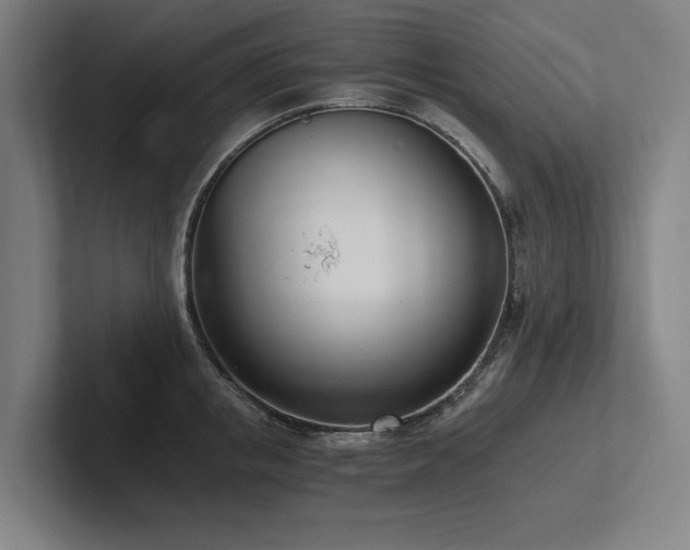 X0000102760853200808181107