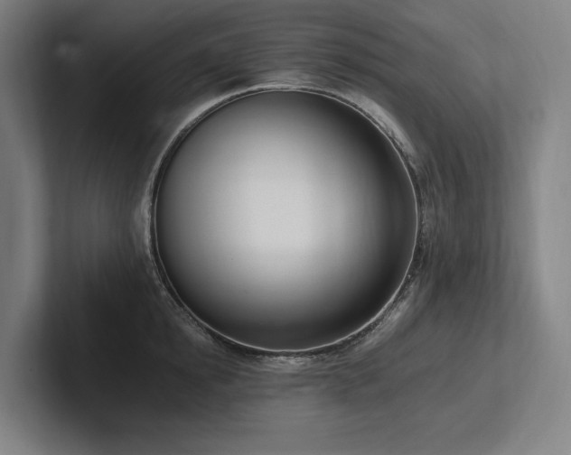 X0000102760854200808181107