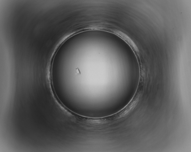 X0000102760855200808181107