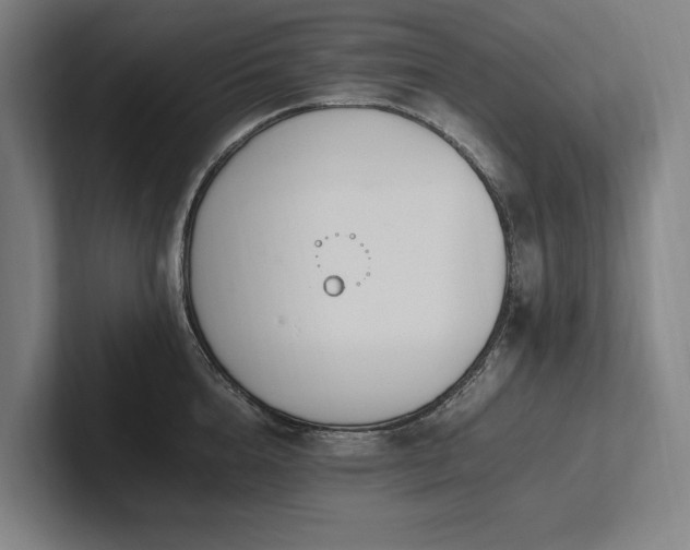X0000102760856200808181107
