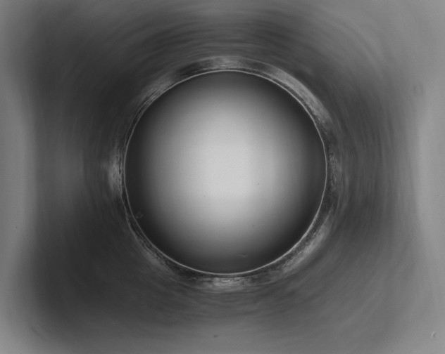 X0000102760857200808181107