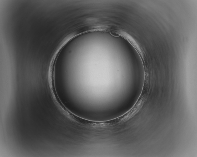 X0000102760859200808181107