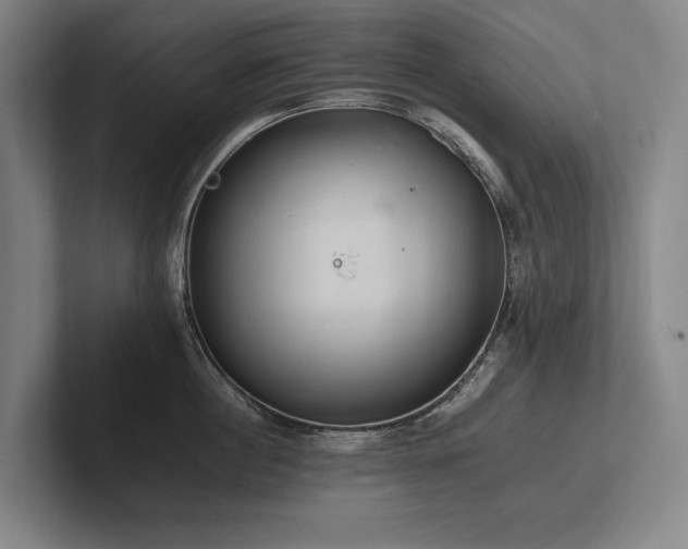 X0000102760860200808181107