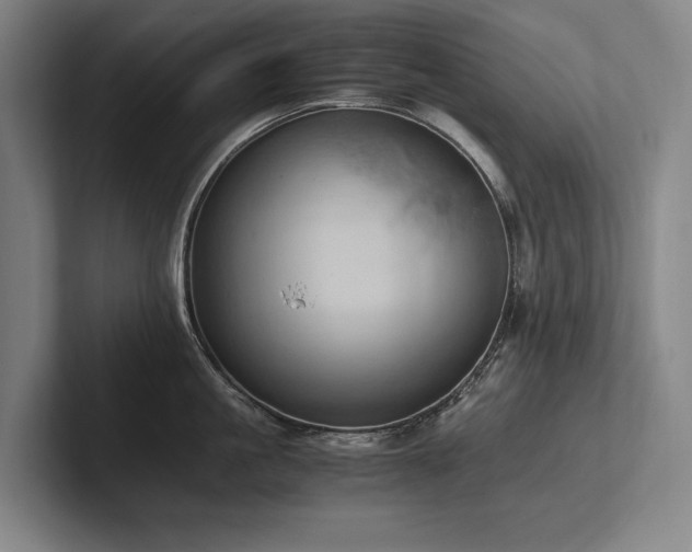 X0000102760861200808181107