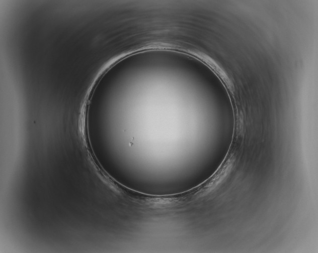 X0000102760862200808181107
