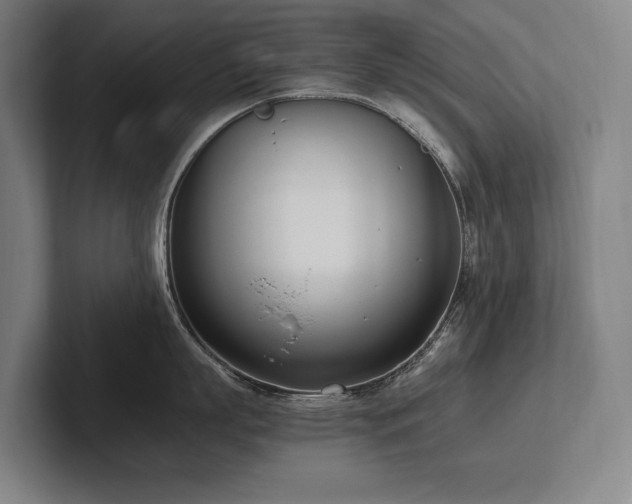 X0000102760863200808181107
