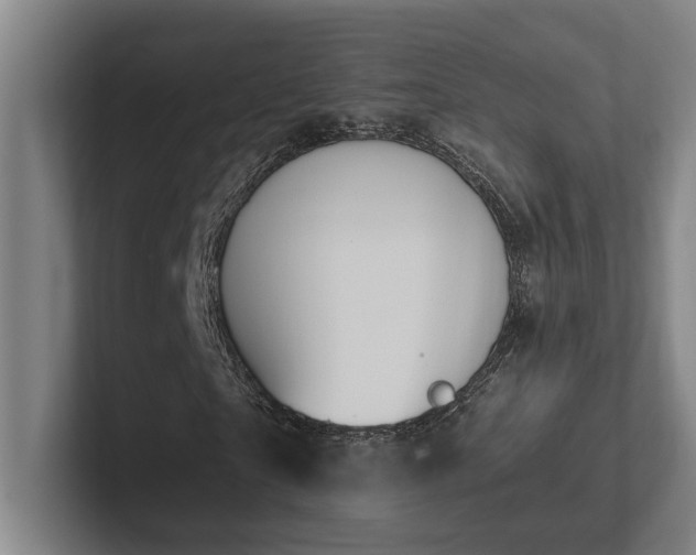 X0000102760865200808181107