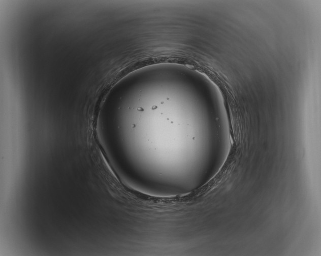 X0000102760868200808181107