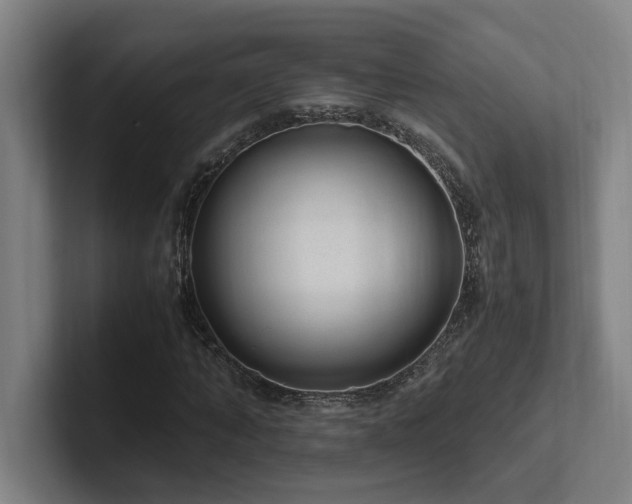 X0000102760870200808181107