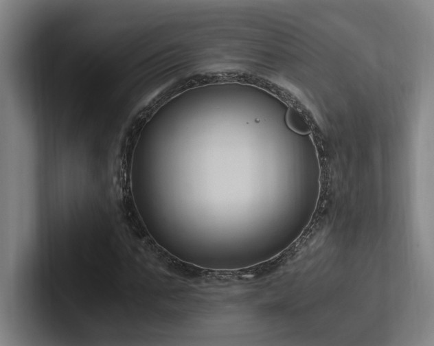 X0000102760871200808181107