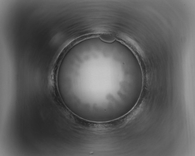 X0000102760875200808181107