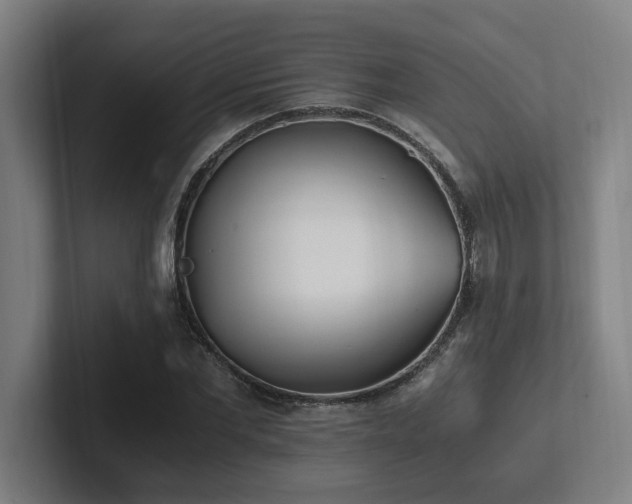 X0000102760877200808181107