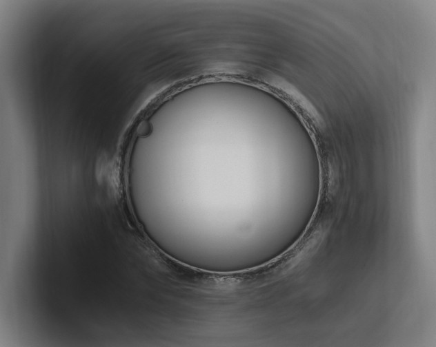 X0000102760878200808181107
