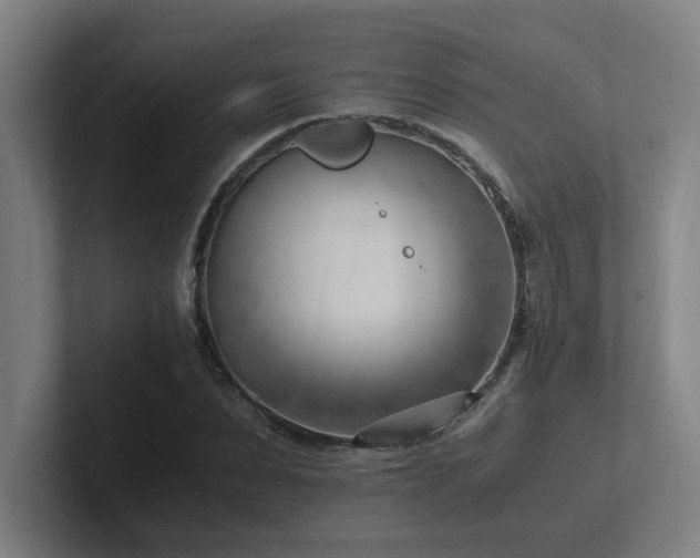 X0000102760879200808181107