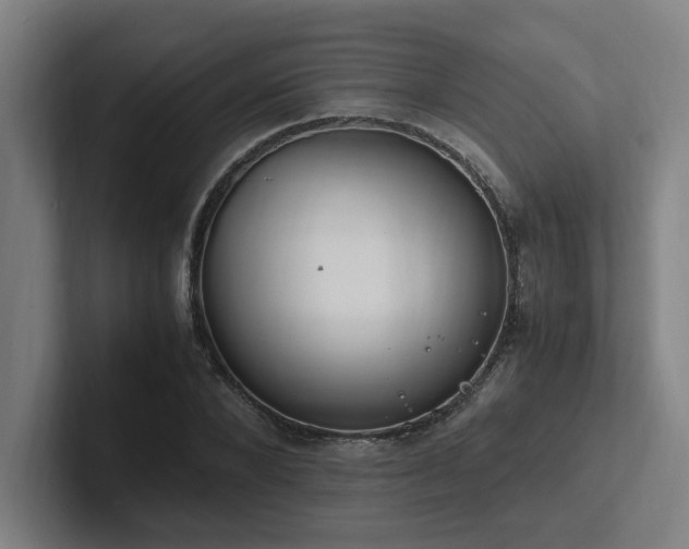 X0000102760880200808181107