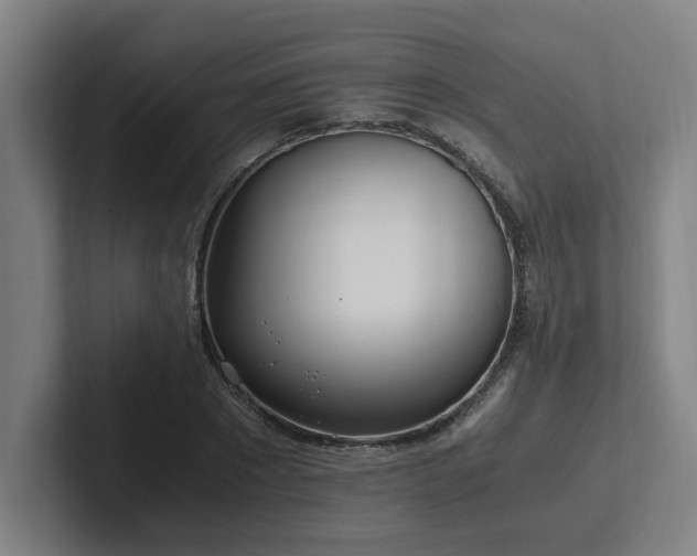 X0000102760881200808181107