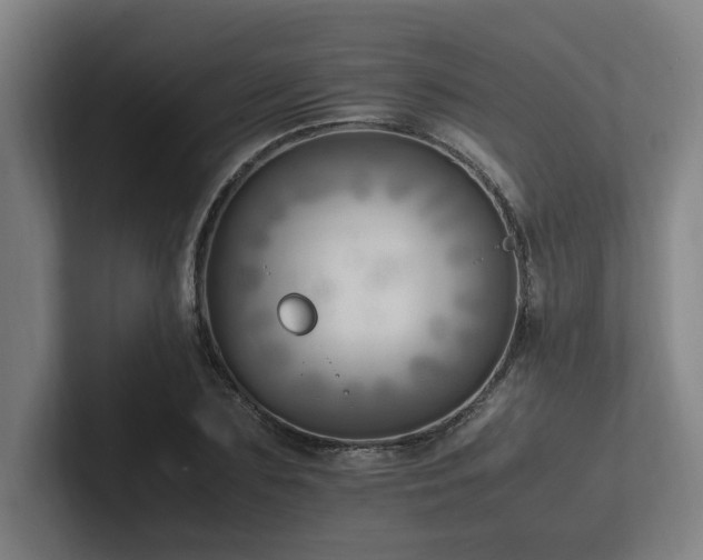 X0000102760883200808181107