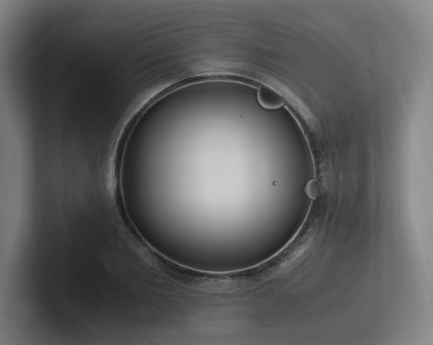 X0000102760885200808181107