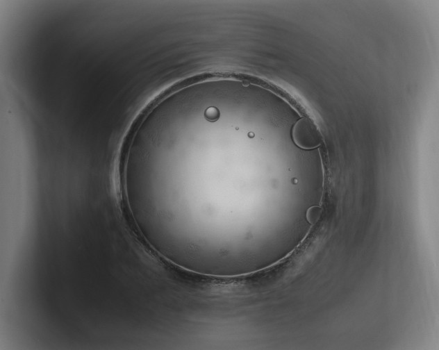 X0000102760887200808181107