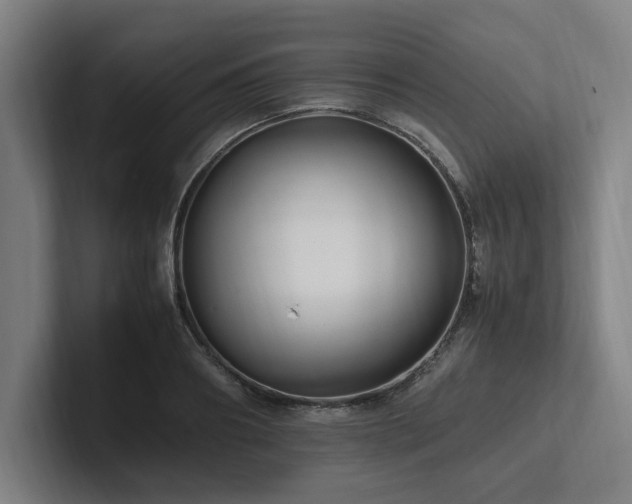 X0000102760890200808181106