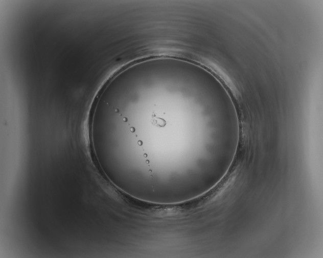 X0000102760891200808181106
