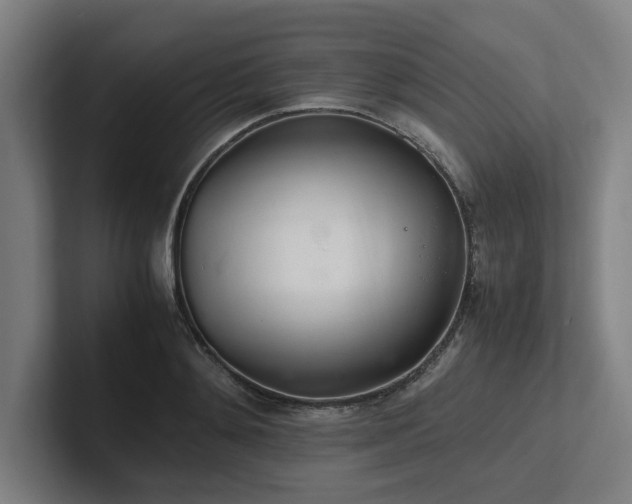 X0000102760892200808181106