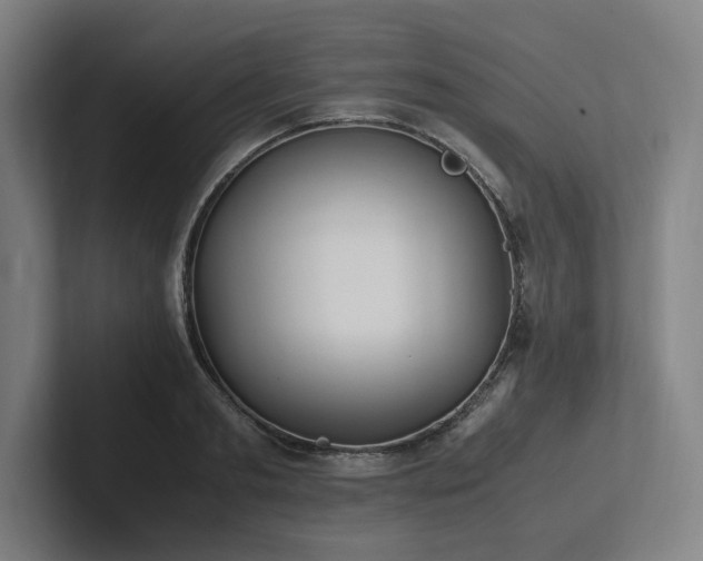 X0000102760893200808181106