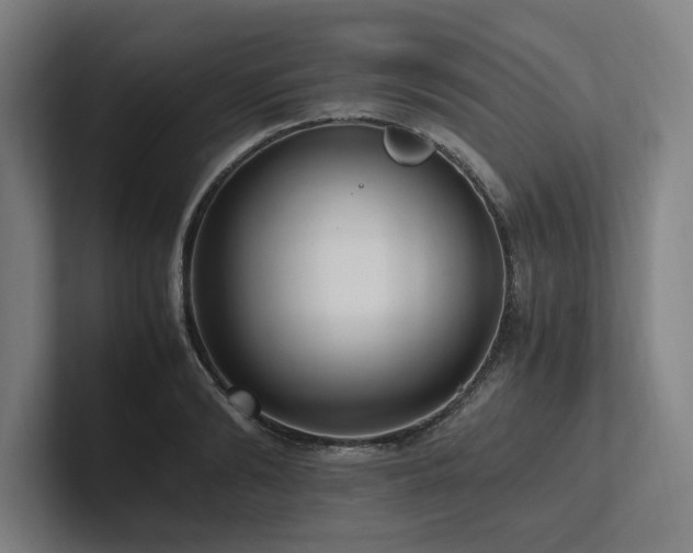 X0000102760894200808181106