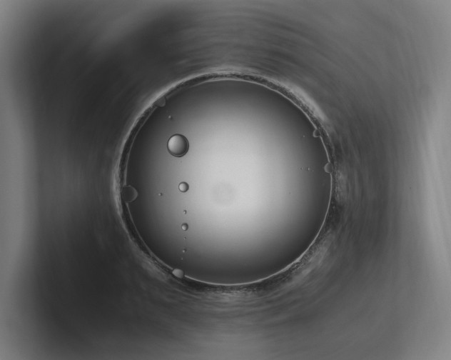 X0000102760895200808181106