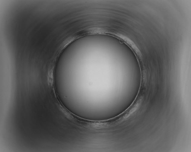 X0000102760897200808181106