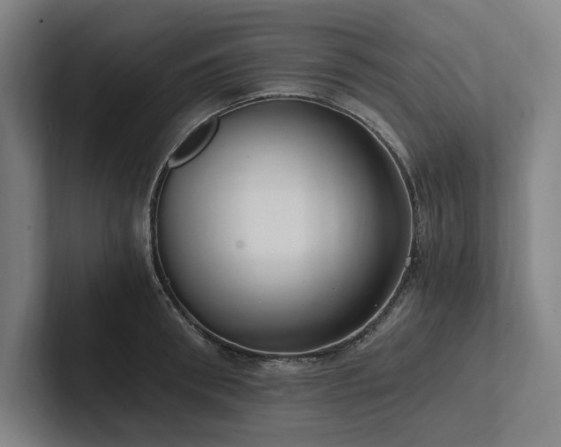 X0000102760898200808181106