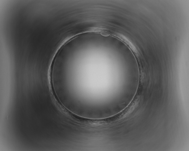 X0000102760899200808181106