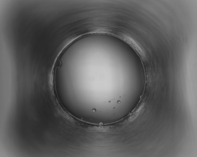 X0000102760900200808181106