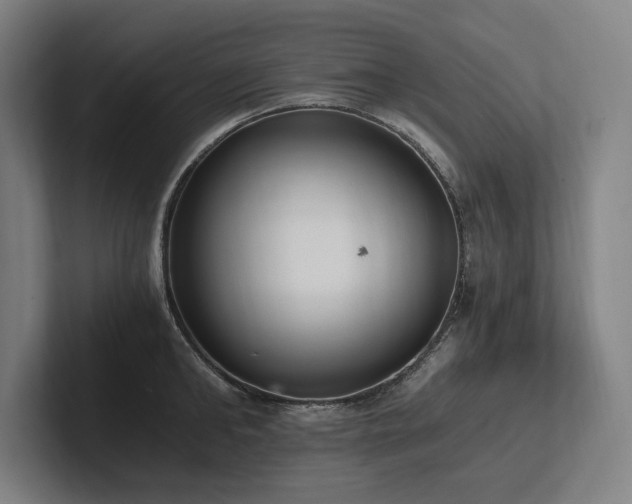 X0000102760902200808181106