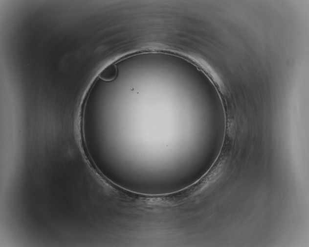 X0000102760903200808181106