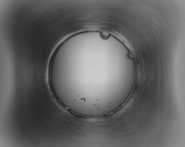 X0000102760904200808181106