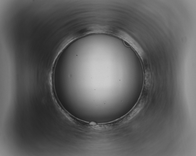 X0000102760906200808181106