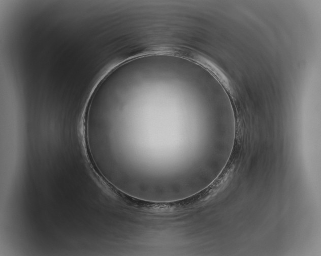 X0000102760907200808181106