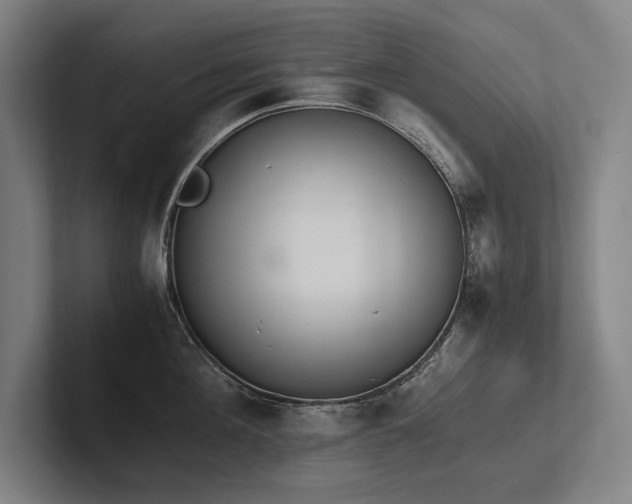 X0000102760908200808181106