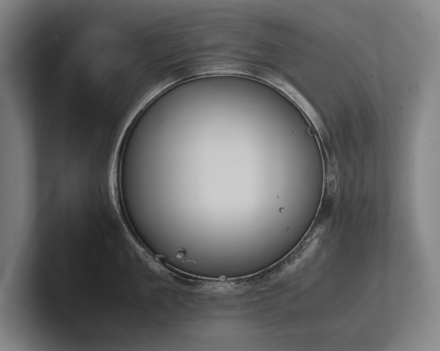 X0000102760909200808181106