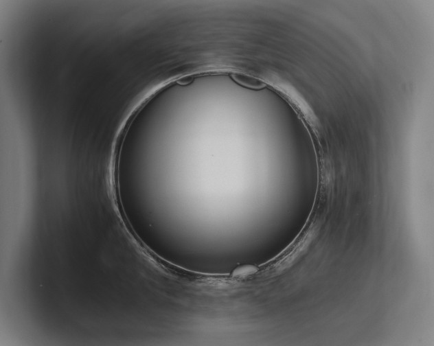 X0000102760910200808181106
