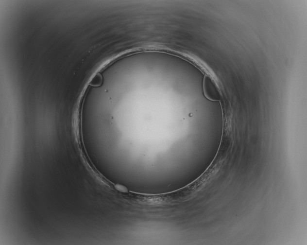 X0000102760911200808181106