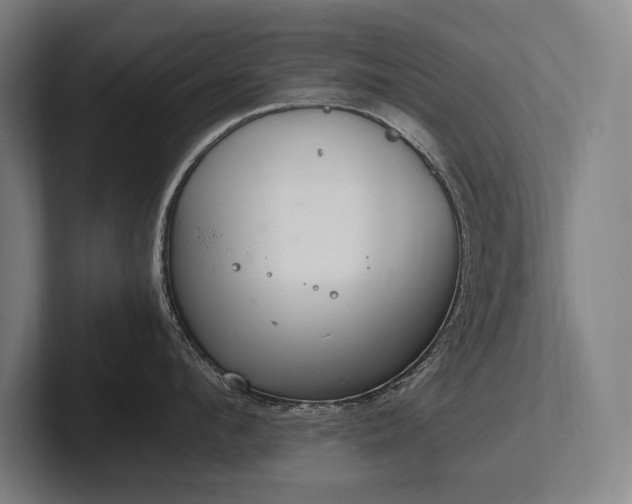 X0000102760912200808181106