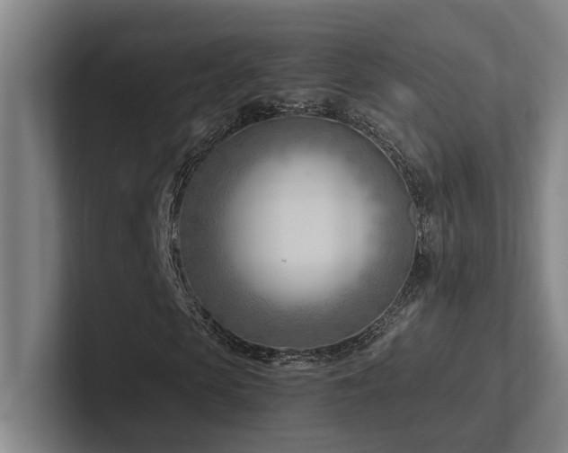 X0000102760913200808181106