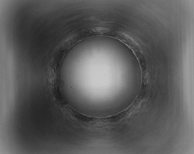 X0000102760917200808181106